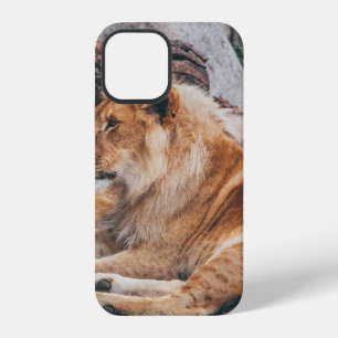 LION AND LIONESS LYING ON BROWN SURFACE iPhone 12 CASE
