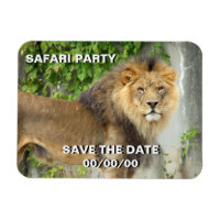 Lion at Maasai Mara 2 Save-the-Date