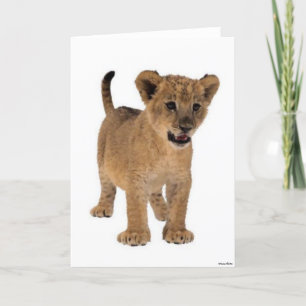 Lion Baby Card