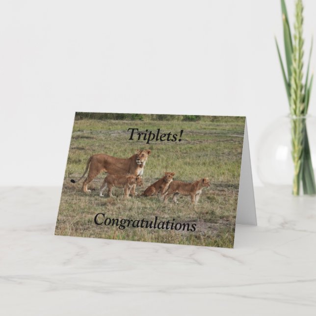 Lion baby triplets birth congratulations card (Front)