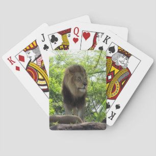 Lion - Bicycle Playing Cards