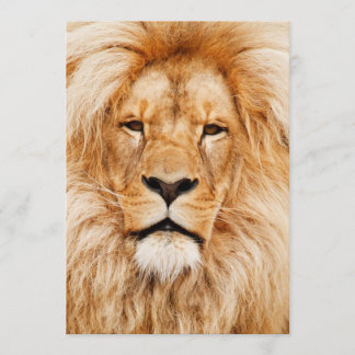 Lion Birthday Party Invitation