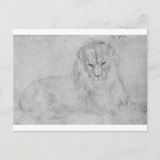 Lion by Albrecht Durer Postcard