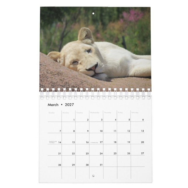 Lion Calendar (Mar 2027)