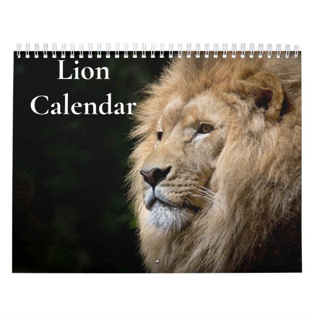Lion Calendar 2026 (Cover)