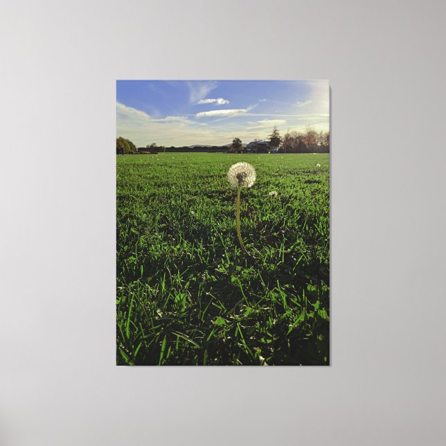 lion canvas print (Front)