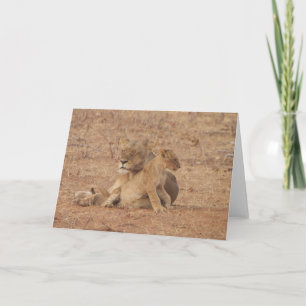 Lion Card