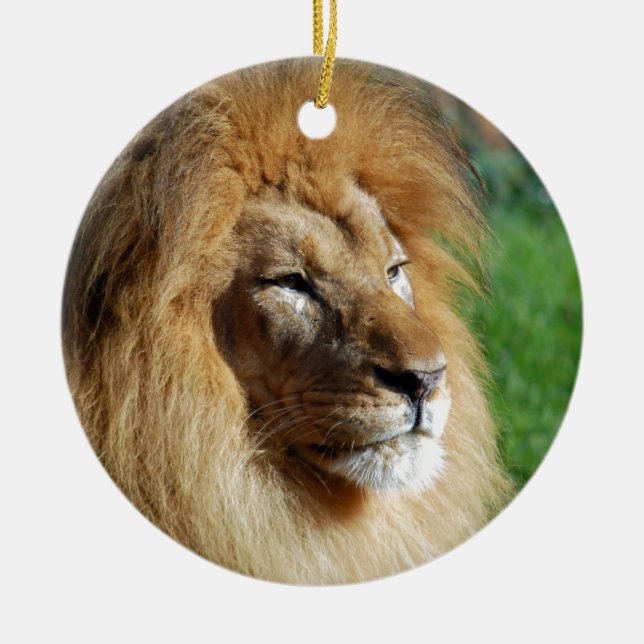 Lion Ceramic Tree Decoration (Front)