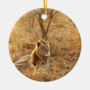 Lion Ceramic Tree Decoration