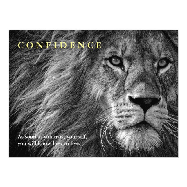 Lion Confidence Quote Inspirational Photo Print (Front)