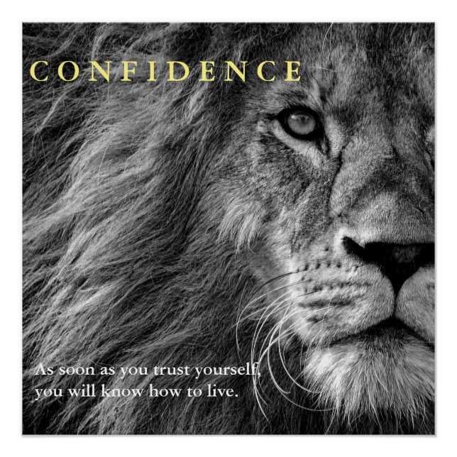 Lion Confidence Quote Inspirational Poster (Front)