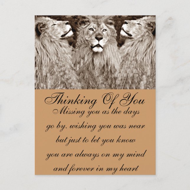 Lion,Courage,Power&Strength_ Postcard (Front)
