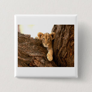 Lion Cub 15 Cm Square Badge