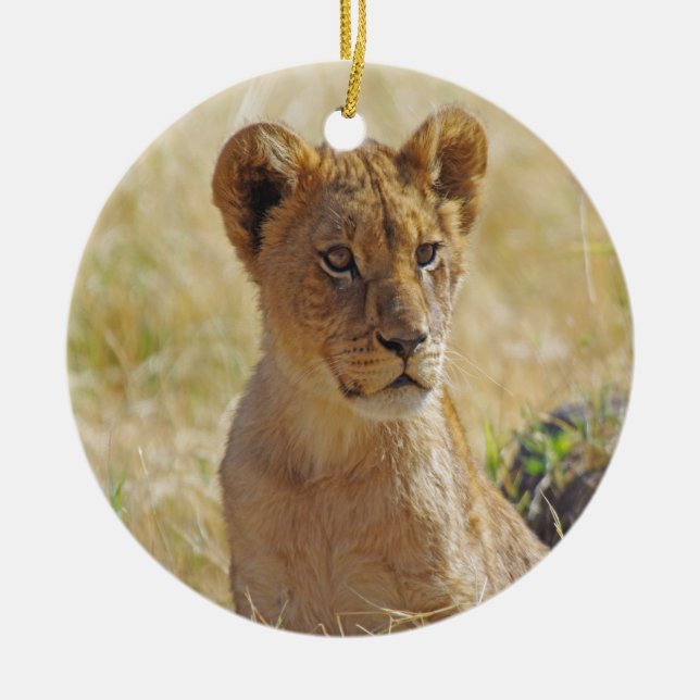 Lion Cub Ceramic Tree Decoration (Front)