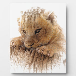 Lion cub close cute eyes lookout plaque