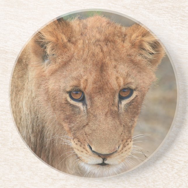 Lion Cub Coaster (Front)