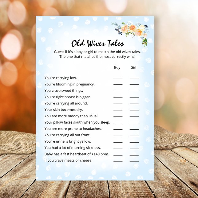 Lion Cub Floral Blue Old Wives Tales Shower Game Programme (Creator Uploaded)