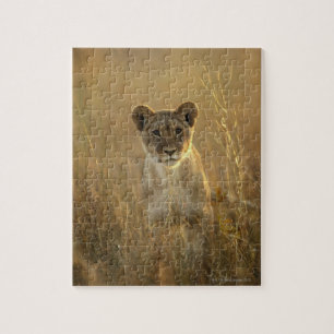 Lion Cub Hwange National Park, Zimbabwe Jigsaw Puzzle