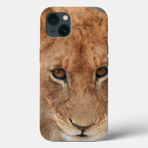 Lion Cub iPhone 13 Case