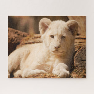 Lion Cub Jigsaw Puzzle