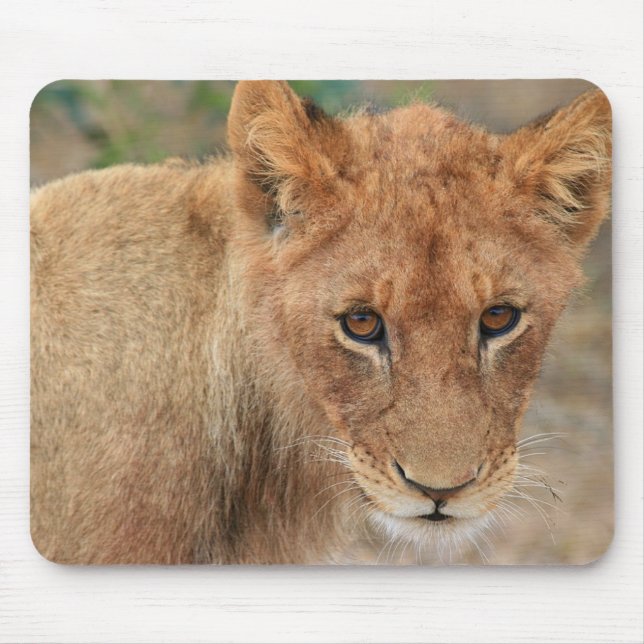 Lion Cub Mouse Pad (Front)