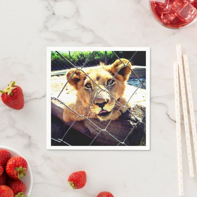 Lion Cub Napkin (Insitu)