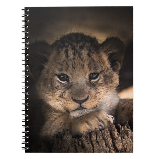 Lion Cub Notebook (Front)