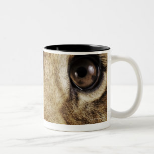 Lion cub (Panthera leo) licking nose, close-up Two-Tone Coffee Mug
