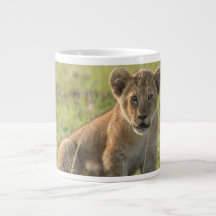 Lion Cub Personalise Name Seriously