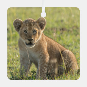 Lion Cub Personalize Name or Text & Date Christmas Metal Tree Decoration
