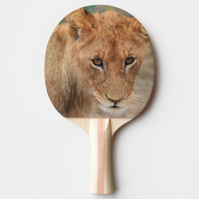Lion Cub Ping Pong Paddle (Front)