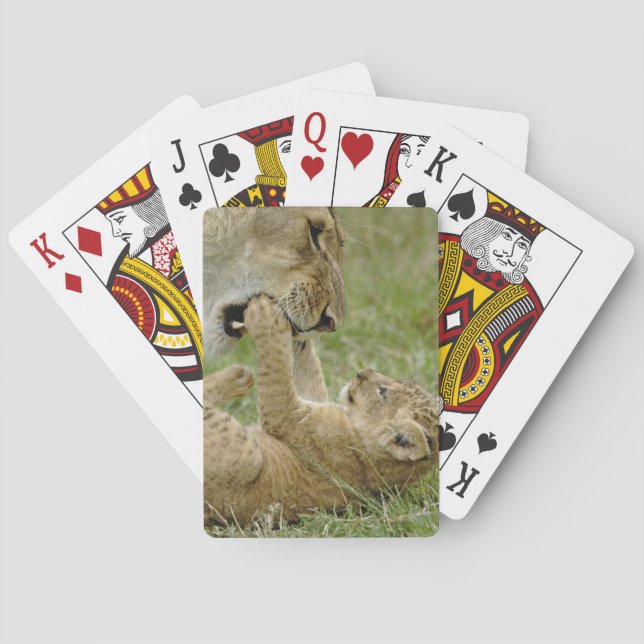 Lion Cub Playing Cards (Back)