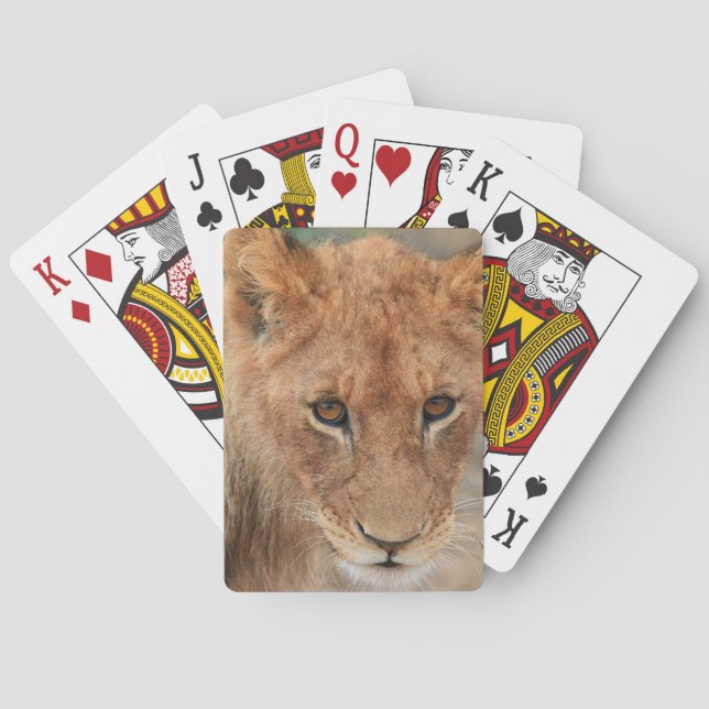 Lion Cub Playing Cards (Back)