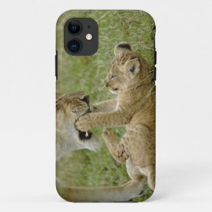 Lion Cub Playing iPhone 11 Case