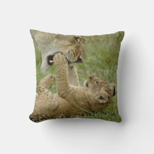 Lion Cub Playing Cushion