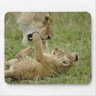 Lion Cub Playing Mouse Pad