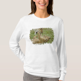 Lion Cub Playing T-Shirt