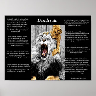 Lion Cub Poster