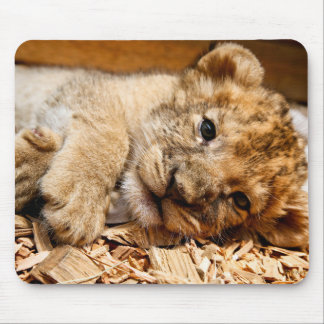 Lion cub relaxing mouse pad