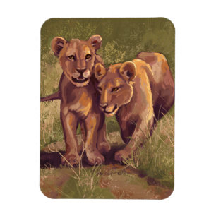 Lion Cubs Magnet