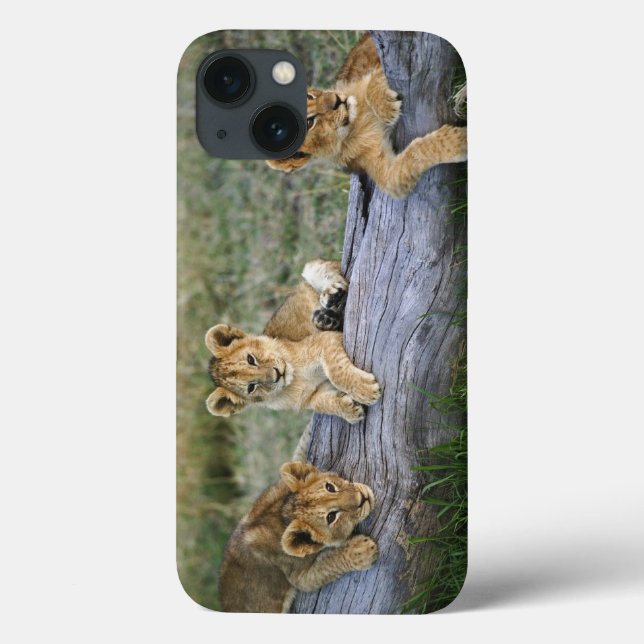 Lion Cubs on Log Case-Mate iPhone Case (Back)