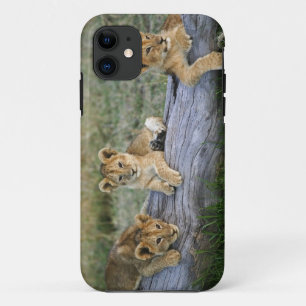 Lion Cubs on Log Case-Mate iPhone Case