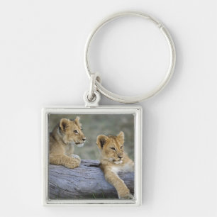 Lion Cubs on Log Key Ring