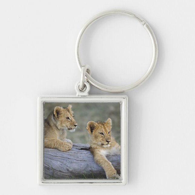 Lion Cubs on Log Key Ring (Front)