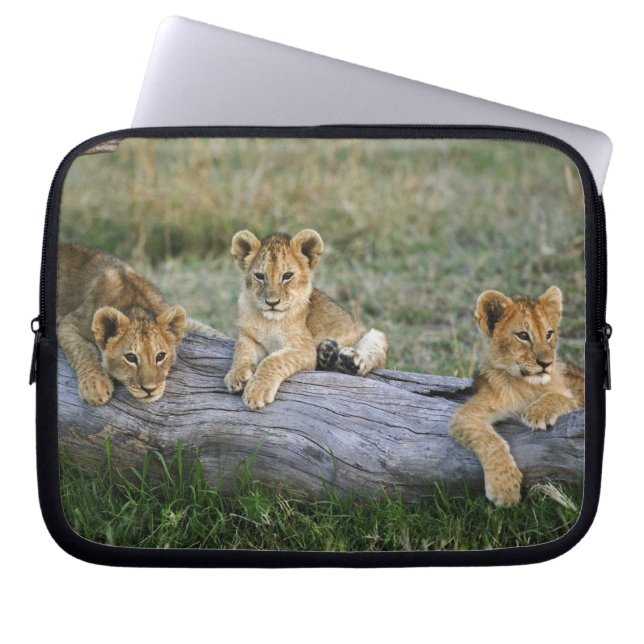 Lion Cubs on Log Laptop Sleeve (Front)