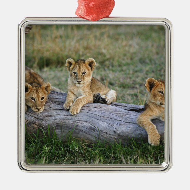 Lion Cubs on Log Metal Tree Decoration (Front)