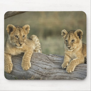 Lion Cubs on Log Mouse Pad