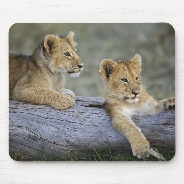 Lion Cubs on Log Mouse Pad (Front)