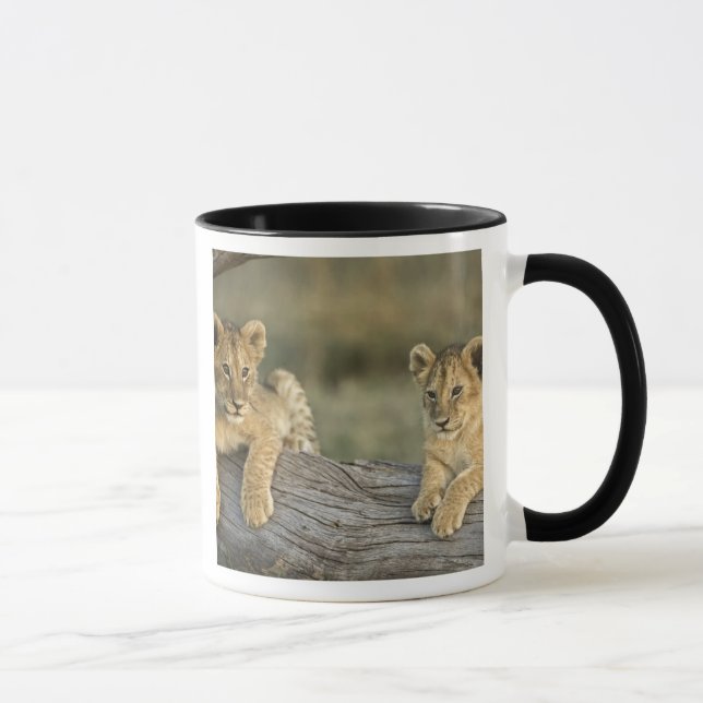 Lion Cubs on Log Mug (Right)