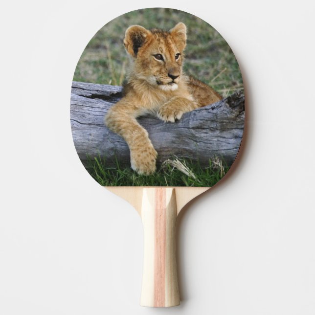 Lion Cubs on Log Ping Pong Paddle (Front)